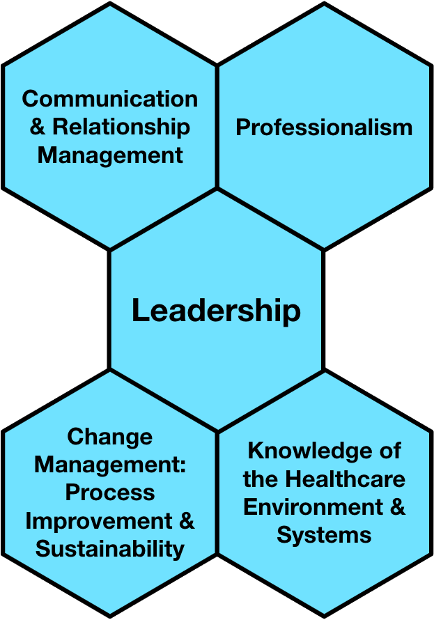 The EMCQSL Program Competencies. The central competency, Leadership, is surrounded by Communications & Relationship Management; Professionalism; Change Managemetn - Process Improvement & Sustainability; and Knowledge of the Healthcare Environment & Systems.